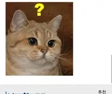 배달오기전 미리 창문을 열어두는 이유