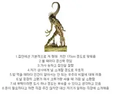 나를 위해 도시 하나쯤은 부셔준다는 친구같은 존재