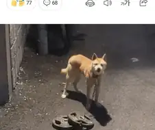 "날 죽이지 못하는 고통은 날 더 강하게 만들 뿐이다"