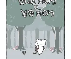 귀여움)화이트 타이거와 블랙타이거 만화