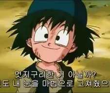 의외로 드래곤볼 마인부우편에서 정말 중요한 캐릭터