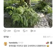 전 주인은 널 관상용으로 키웠겠지