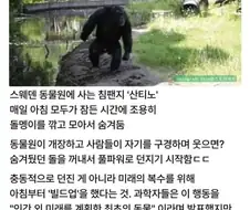 미래를 계획한 침팬지