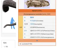 호주 ㅇㄹ망가ㅂㅈ에서 발견된 것