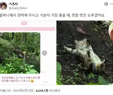 엄청난걸 찍어버린 일본 할머니