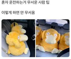 혼자 운전하기 무섭다면 합류하라.img
