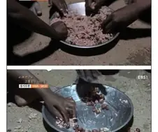 콩이 맛없다는 증거.jpg