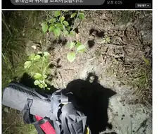 불꽃축제 사진 찍고 싶었던 사람