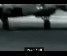 "드레스덴은 전쟁에서 가장 안전한 도시다!"