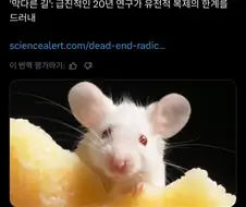 20년동안 계속해서 복제 된 실험쥐가 한계를 맞이했다고 함.twit