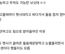 죠죠)맘모니 페시가 암살팀 멤버인 이유