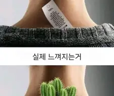 옷에 달린 택 이거 ㅇㅈ?