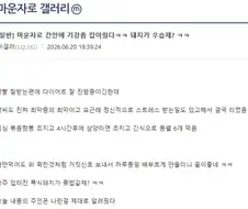 마운자로 기강 잡아준 돼지 ㄷㄷ