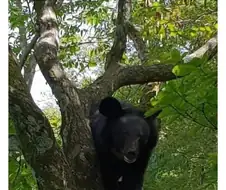지리산 갔다가 만난 특별한 친구.jpg