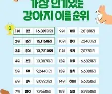 가장 인기있는 강아지 이름 순위