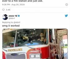 어릴 때부터 소방차를 타고 싶었던 어른은 커서