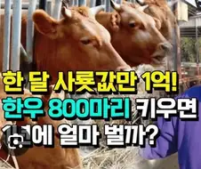 소 키우는게 힘든 이유
