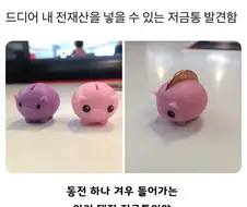 내 전재산 넣을 수 있는 저금통