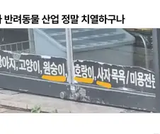 피튀기는 반려동물 산업