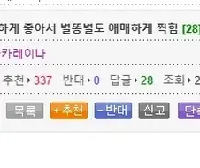 운이 애매하게 좋아서 별똥별도 애매하게 찍힌 웃대인.JPG