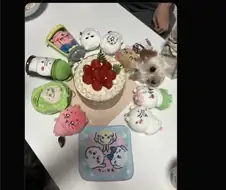 인형 컨셉샷 찍는데 인형이 없음