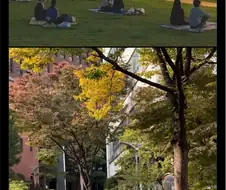 꿈 같은 곳