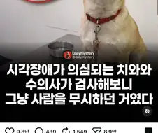 시각장애가 의심되는 치와와 수의사가 검사해보니...