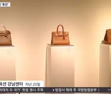 국세청의 명품 전시회.jpg