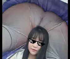 비소식 야호