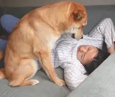 사채업자