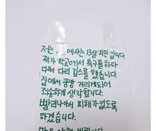 13살 아이의 글을 보고 추억에 잠긴 펨붕이