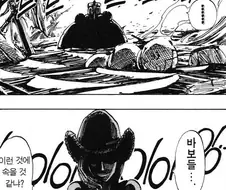 원피스)사실 파고보면 로빈이 좀 억울한 부분