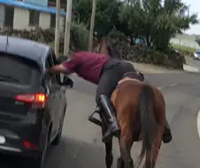 예언이 된 영화 ＇호프＇.jpg