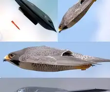 스텔스 폭격기의 기원