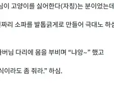 야옹 한마디로 300만원 빚을 갚는다