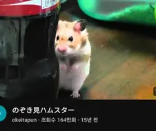 세계적으로 발발하는 이상현상
