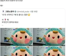 ＇사＇로 시작하고 ＇해＇로 끝나는 말은?