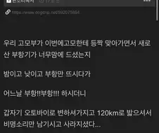 니들은 부항 함부로 뜨지마라