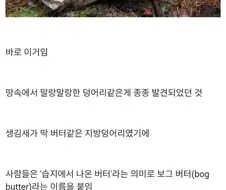 파면 버터가 나오는 땅.jpg