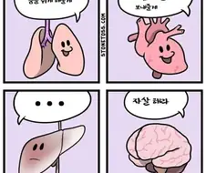 우리 몸 신체 장기들의 역할.manhwa