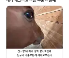 추천작 같이 볼때