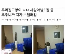 지난 겨울 가스비 폭탄 맞은 이유