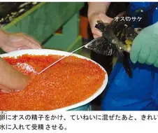 “어이, 정액주머니! 일할 시간이다! 도퓻도퓻준비해!!”