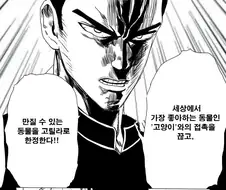 헌터x헌터] 캣 엠페러 타임의 치명적인 약점.manhwa