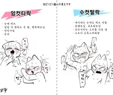 ㅇㅋ타락 vs 수컷합격
