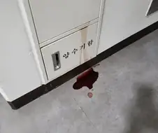 추석 명절 양수기함에서 흘러내리는 핏물.jpg