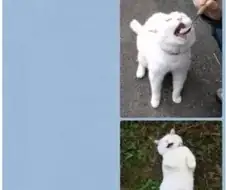 소개팅녀와의 카톡