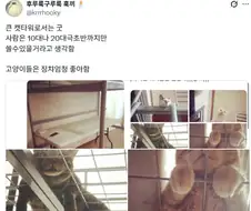 2층침대의 장점.jpg