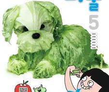 초등학교 5학년 미술 교과서임