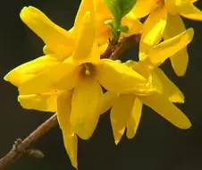 중학생이 복통으로 보건실 간 이유